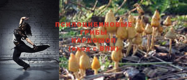 PSILOCYBIN Алексеевка