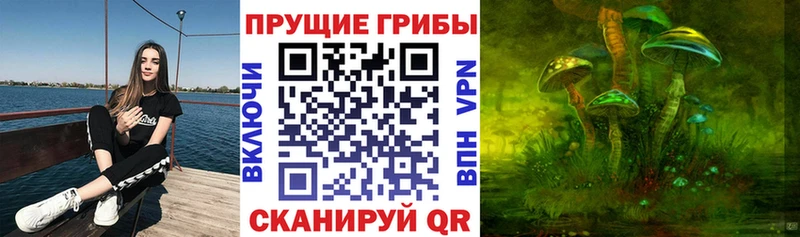 Псилоцибиновые грибы мухоморы  shop наркотические препараты  Тулун  купить наркоту 